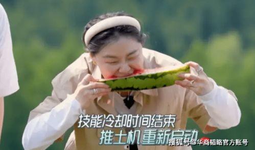 吃瓜回顾,盘点娱乐圈那些年我们追过的热点事件