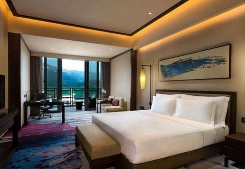 丽都饭店明星,明星璀璨下的奢华盛宴