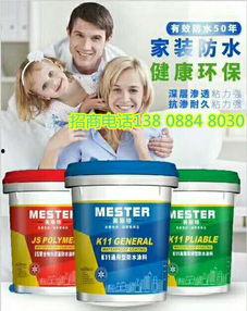 广东网红涂料哪家好些,揭秘广东地区口碑最佳品牌”