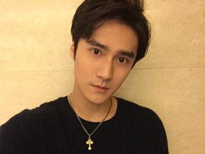 辽宁出过哪些明星,璀璨星河中的辽宁之光